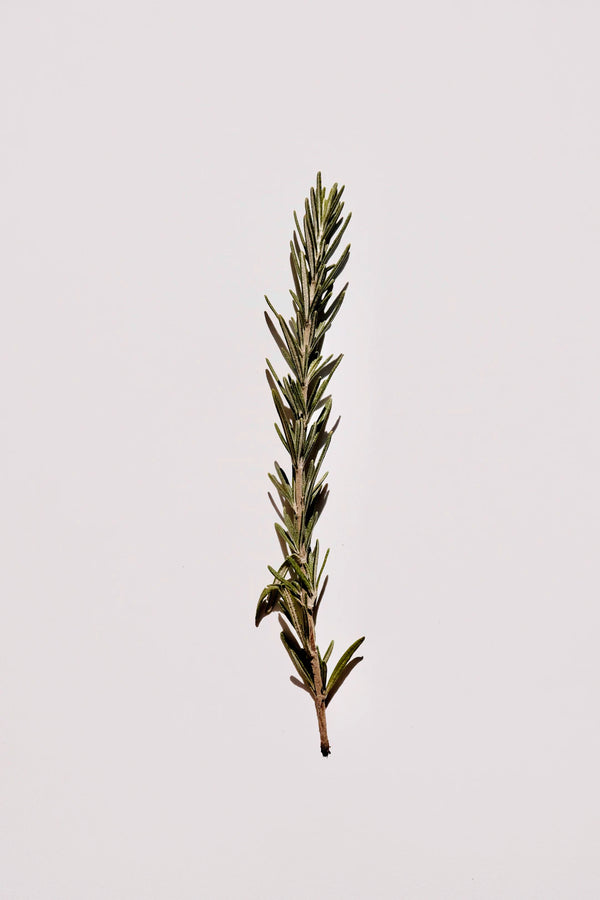 Natural vs. Synthetic Ingredients What You Need to Know
