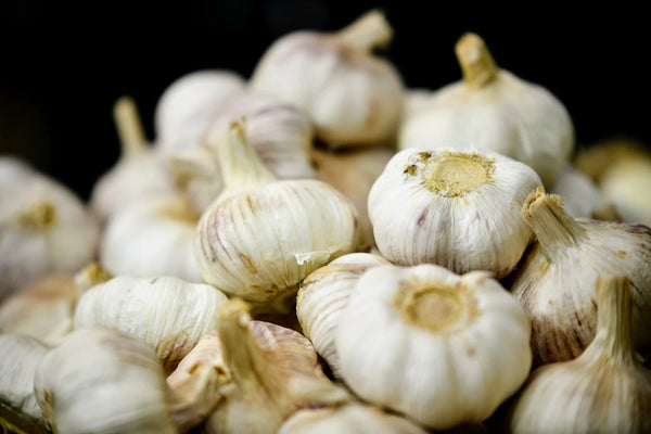 The Impact of Diet on Skin Health