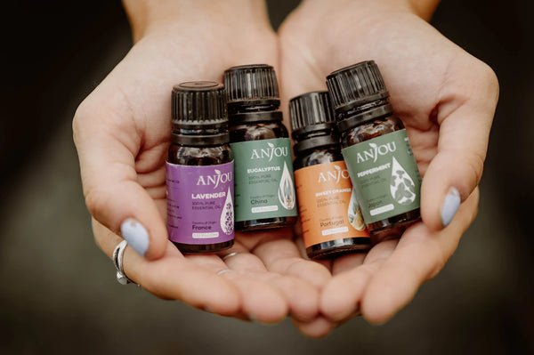 Unlocking the Differences Oils vs. Creams for Your Skin